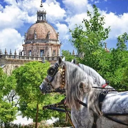 Nuevo Jerez Bahia Апартаменти Херес-де-ла-Фронтера