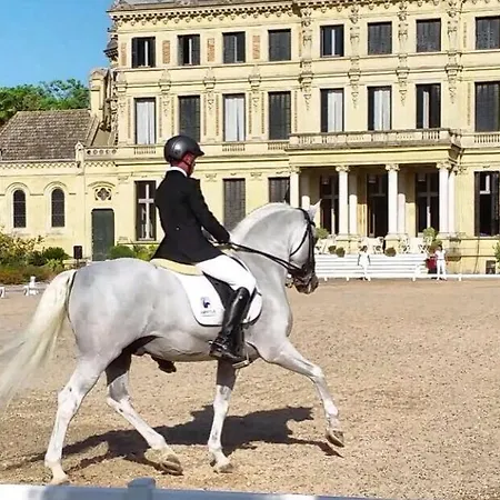 Lägenhet Nuevo Jerez Bahia