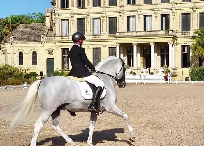 Lejlighed Nuevo Jerez Bahia