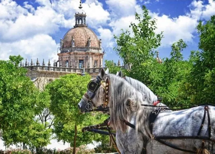 Nuevo Jerez Bahia 아파트 헤레스